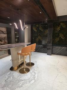 Hall Image of 3000 Sq.ft 4 BHK Duplex for sale in Vasant Vihar New Delhi for Rs. 240000000