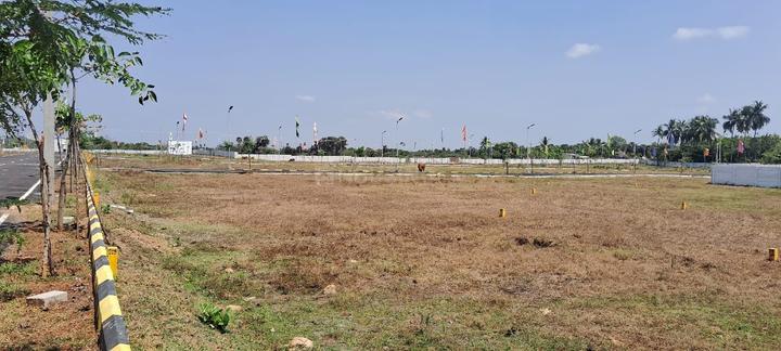 Nenmeli, Chengalpattu Main Image 1