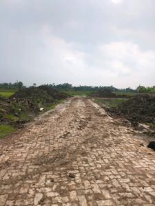 Swapnabhumi Internal Roads 1