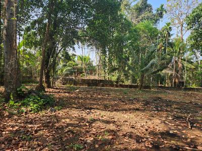 Image of 26133 Sq.ft Residential Plot / Land for sale in Poovanthuruthu, Kottayam for Rs. 24000000