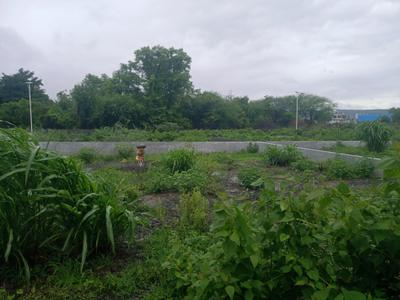 Hinjawadi Phase 2 Plot View 1