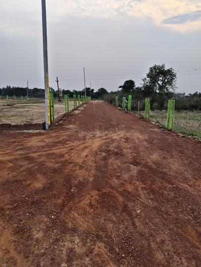 Hanspal Plot View 1