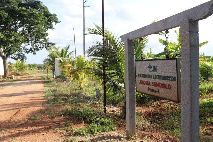 Aroma Sandolo Zero maintenance Farmlands Main Image 1