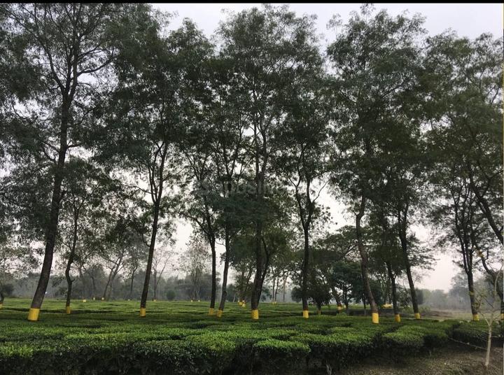 No Name Main Image 1