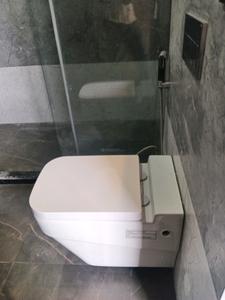 Common Bathroom Image of 2700 Sq.ft 4 BHK Builder Floor for sale in Inder Luxury Builder Floor Sector 57, Sector 57 Gurgaon for Rs. 25000000