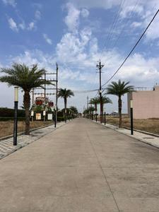 Residential Plot