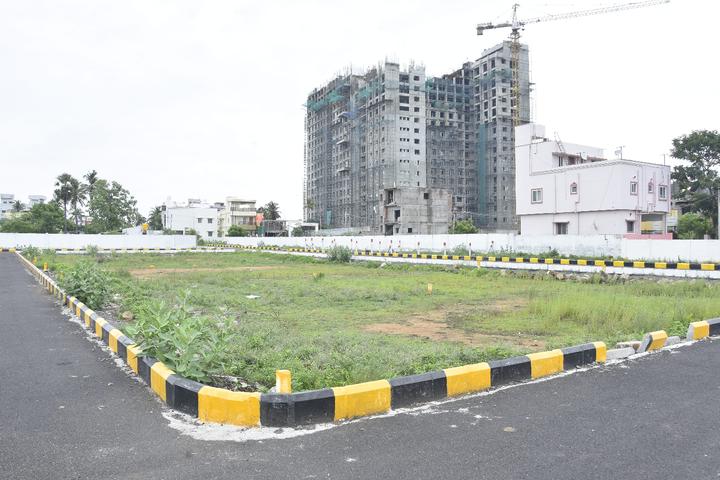 goden aura garden Main Image 1