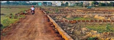 Patrapada Plot View 1