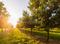 Arvind Fruits Of Life Bavlu Main Image 1