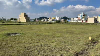 Residential Plot