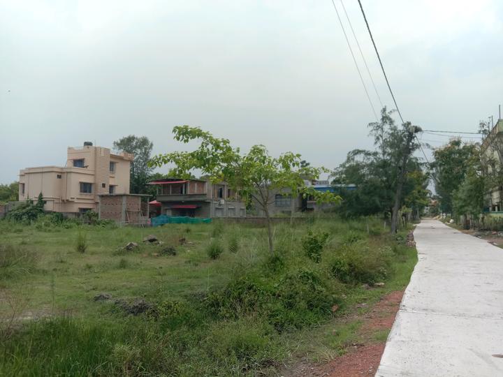 Apparent JB Garden Main Image 1