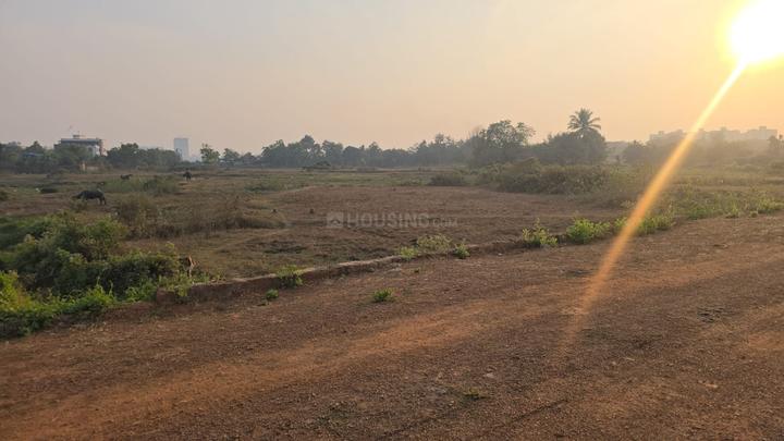 Shankarpur Main Image 1