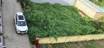 Image of 2925 Sq.ft Residential Plot / Land for sale in Canal Road, Dehradun for Rs. 22750000
