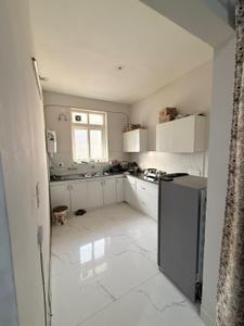 Kitchen Image of 1050 Sq.ft 2 BHK Builder Floor for rent in K And N Group Dream Homes Mohali, Sector 117 Mohali for Rs. 30000