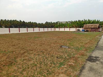 Image of 1330 Sq.ft 3 BHK Villa for sale in RR Ishwaryam, Thudiyalur, Coimbatore for Rs. 7725000