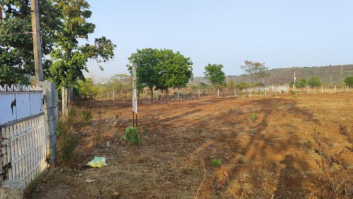 PRESTIGE FARMS Main Image 1