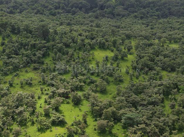 Bhoomi Plots in JambhulPada Main Image 1