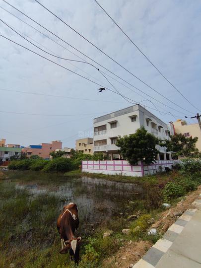 Lankar promoters Main Image 1