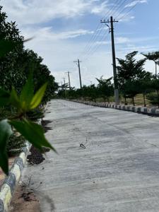 Image of 1666 Sq.ft Residential Plot / Land for sale in Shadnagar, Ranga Reddy for Rs. 4165000