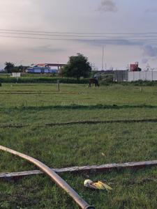 Image of 900 Sq.ft Residential Plot / Land for sale in Jhalwa, Allahabad for Rs. 3200000