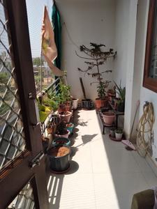 Balcony Image of 1355 Sq.ft 3 BHK Apartment / Flat for sale in Dholai Jaipur for Rs. 5600000