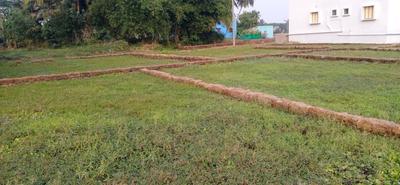 Dhaua Plot View 1