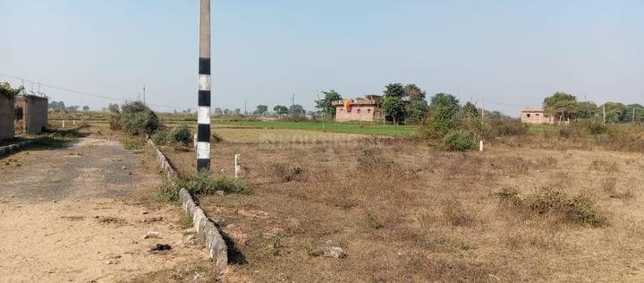 Bihta Main Image 1
