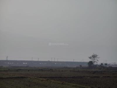 Image of 2180 Sq.ft Residential Plot / Land for sale in Rajgir, Nalanda for Rs. 3000000
