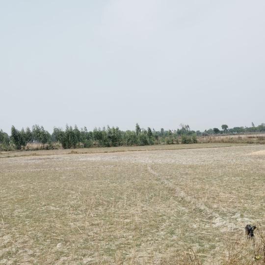 Ashapur Village Main Image 1