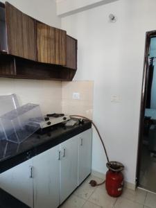 Kitchen Image of 560 Sq.ft 1 RK Apartment / Flat for rent in Sector 63 Mohali for Rs. 16000