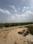 Duhai Main Image 1