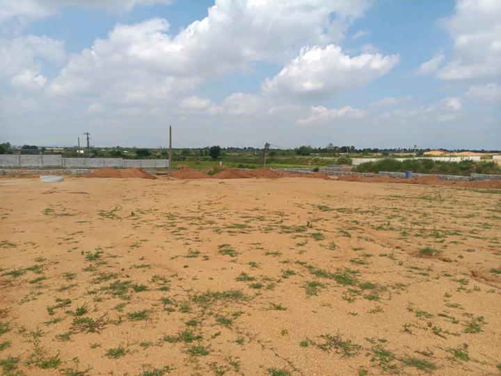 SGD Elite Main Image 1