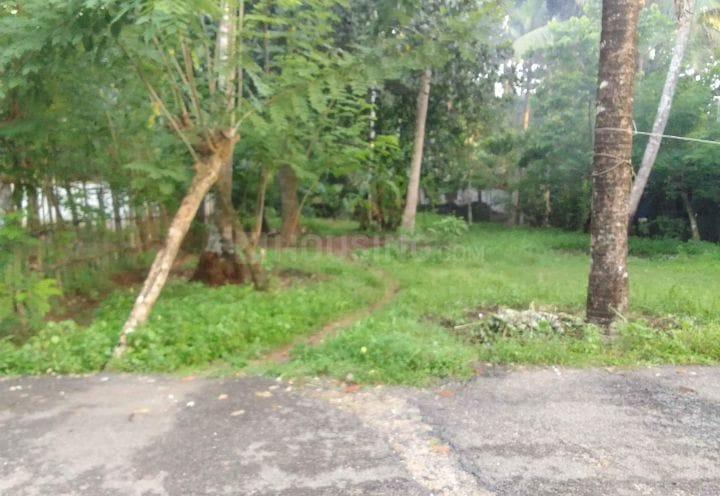 Square plot Main Image 1