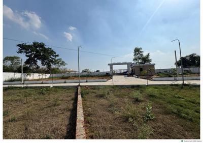 Saguna More Plot View 2