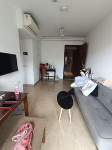 Hall Image of 550 Sq.ft 1 BHK Apartment / Flat for rent in Hiranandani Maple A B and C Wing, Powai Mumbai for Rs. 70000