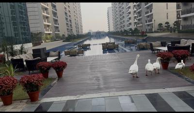 Image of 929 Sq.ft 1 BHK Studio for sale in Central Park Flower Valley 3, Sector 32, Sohna for Rs. 13000000