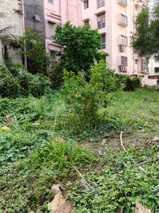 Image of 200 Sq.ft Residential Plot / Land for sale in New Town, Kolkata for Rs. 34500000