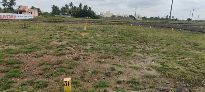 SRM Nagar, Potheri Main Image 1