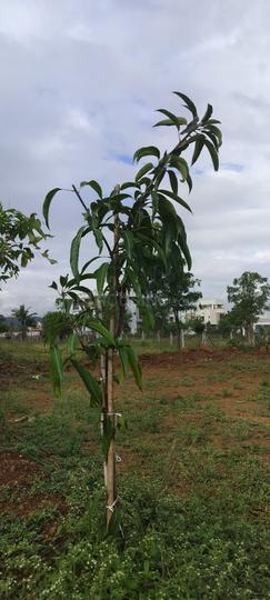 Kuber Park Residency Main Image 1