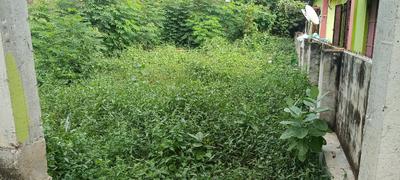 Image of 2160 Sq.ft Residential Plot / Land for sale in Pratapgarh, Agartala for Rs. 2500000