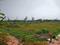 DLF Parc Estate Main Image 1
