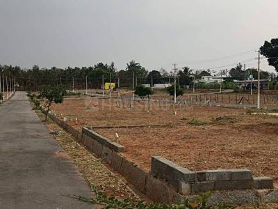 Paradise city Plot View 2