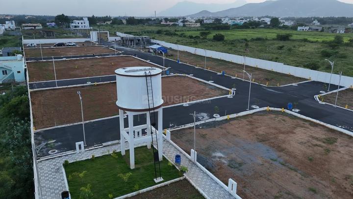 Karamadai Main Image 1
