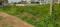 Mirjanhat Main Image 1