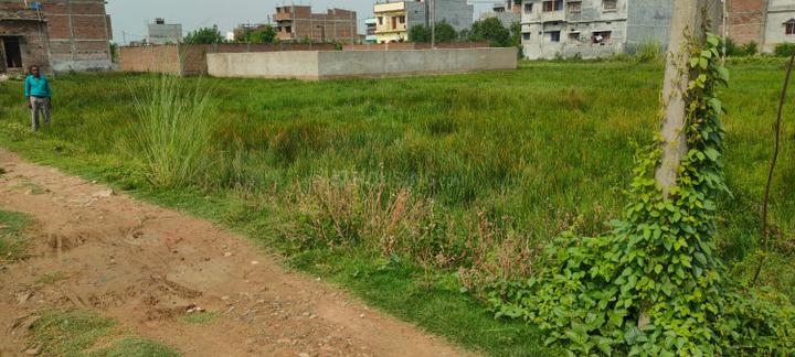 Mirjanhat Main Image 1