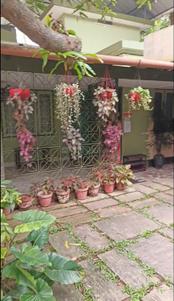 Image of 1000 Sq.ft 2 BHK Independent House for rent in Aluva, Kochi for Rs. 20000