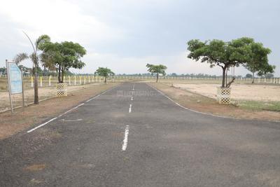 Residential Plot