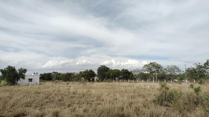 Kalapatti Main Image 1
