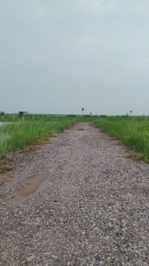 Image of 50 Sq.ft Residential Plot / Land for sale in Silani, Gurgaon for Rs. 750000