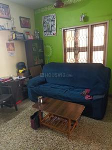Hall Image of 700 Sq.ft 1 BHK Apartment / Flat for rent in T Nagar Chennai for Rs. 23000